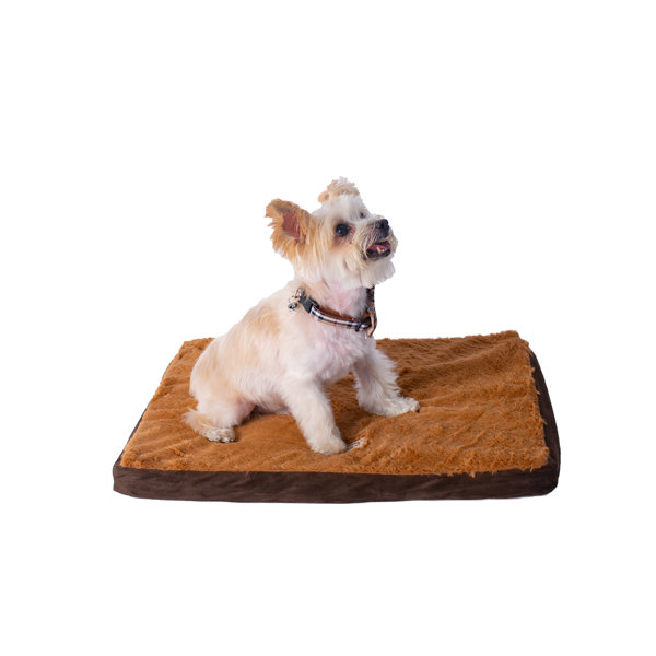 Armarkat Memory Foam Dog Mat & Reviews Wayfair